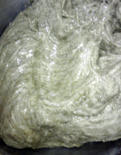 PA0_0021.JPG